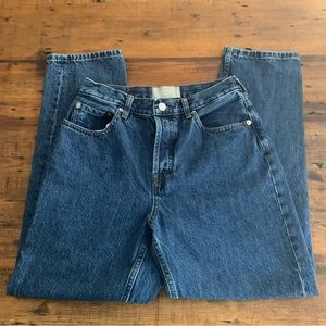 Everlane Buttonfly The 90’s Cheeky Jean Sz 27